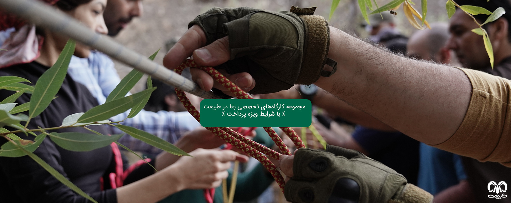 دوره بقا درجنگل